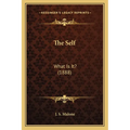 The Self: What Is It? (1888) - Paperback