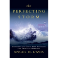 The Perfecting Storm: Experiencing God's Best Through the Trials of Marriage - Paperback