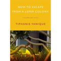 How to Escape from a Leper Colony: A Novella and Stories - Paperback