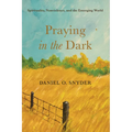 Praying in the Dark: Spirituality, Nonviolence, and the Emerging World - Hardcover