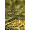 Needle in a Haystack: A Story of Resilient Grieving--Not Just Surviving, but Thriving - Paperback