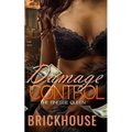 Damage Control: The Finesse Queen - Paperback