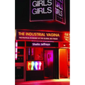 The Industrial Vagina: The Political Economy of the Global Sex Trade - Paperback