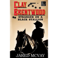 Stranger on a Black Stallion - Paperback
