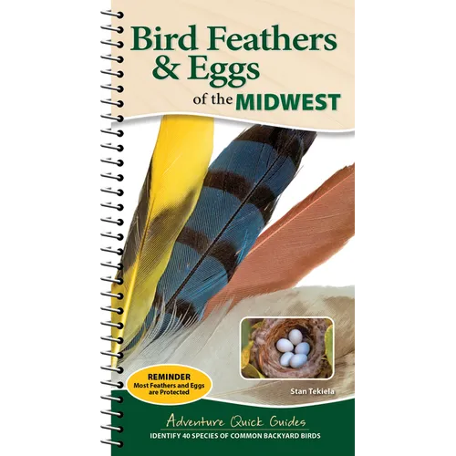 Bird Feathers & Eggs of the Midwest: Identify 40 Species of Common Backyard Birds - Spiral