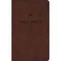 ESV Premium Church Bible (Trutone, Brown) - Imitation Leather