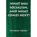 What Was Socialism, and What Comes Next? - Paperback