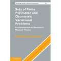 Sets of Finite Perimeter and Geometric Variational Problems - Hardcover