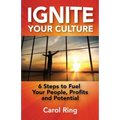 Ignite Your Culture: 6 Steps to Fuel Your People, Profits and Potential - Paperback
