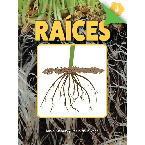 Raíces: Roots - Paperback