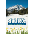 Twelve Weeks in Spring - Paperback