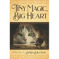 Tiny Magic, Big Heart: James Dutton's Fairy Tale Books Series - Paperback