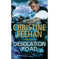 Desolation Road - Paperback