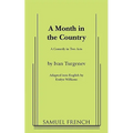 A Month in the Country - Paperback