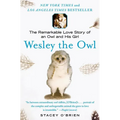 Wesley the Owl: The Remarkable Love Story of an Owl and His Girl - Paperback