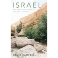 Israel and the Land Promise in Biblical Prophecy - Paperback