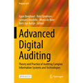 Advanced Digital Auditing: Theory and Practice of Auditing Complex Information Systems and Technologies - Paperback
