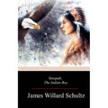 Sinopah, the Indian Boy - Paperback