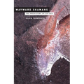 Wayward Shamans: The Prehistory of an Idea - Paperback