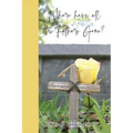 Where have all the Fathers Gone? - Paperback