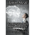 Workings of a Bipolar Mind 1-7 Omnibus: The Inner Mind of someone with Bipolar Disorder - Paperback