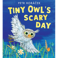 Tiny Owl's Scary Day - Hardcover