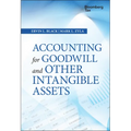 Accounting for Goodwill and Other Intangible Assets - Hardcover