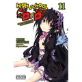 High School DXD, Vol. 11 (Light Novel): Ouroboros and the Promotion Exam - Paperback