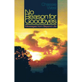 No Reason for Goodbyes: Messages from Beyond Life - Paperback