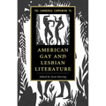 The Cambridge Companion to American Gay and Lesbian Literature - Paperback
