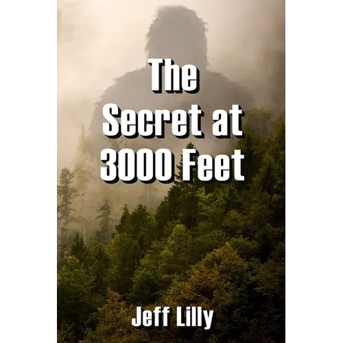 The Secret at 3000 Feet - Paperback