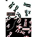 Refiguring Life: Metaphors of Twentieth-Century Biology - Paperback