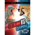 Ostrich vs. Cheetah - Paperback