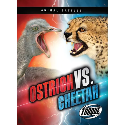 Ostrich vs. Cheetah - Paperback