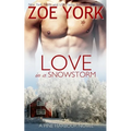 Love in a Snowstorm - Paperback