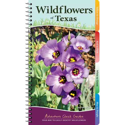Wildflowers of Texas: Your Way to Easily Identify Wildflowers - Spiral