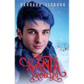 The Santa Problem - Paperback