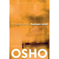The Beauty of the Human Soul: Provocations Into Consciousness - Paperback