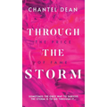 Through the Storm: The Price of Fame - Hardcover
