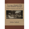 Victorian Ghosts of the Omni Bedford Springs: Representation and Reveal - Paperback
