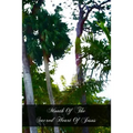 Month Of The Sacred Heart Of Jesus - Paperback