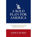 A Bold Plan for America: 14 Nonpartisan Solutions Based on the Facts - Paperback
