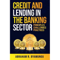Credit and Lending in the Banking Sector: Principles, Challenges, and Practices - Paperback