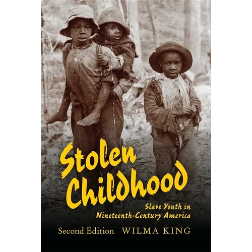 Stolen Childhood: Slave Youth in Nineteenth-Century America - Paperback