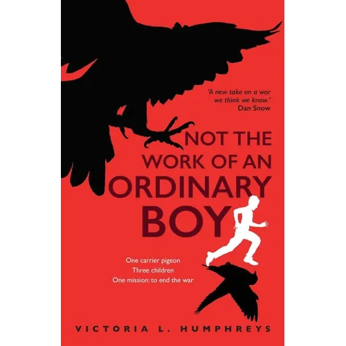 Not the Work of an Ordinary Boy - Paperback