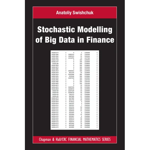 Stochastic Modelling of Big Data in Finance - Hardcover