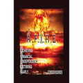 A.F.I.R.E. Achieving Financial Independence Retiring Early - Paperback