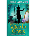 Witch in a Crisis - Paperback