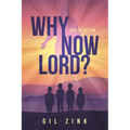 Why Now Lord?: God in Action - Paperback