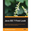 Java Ee 7 First Look - Paperback